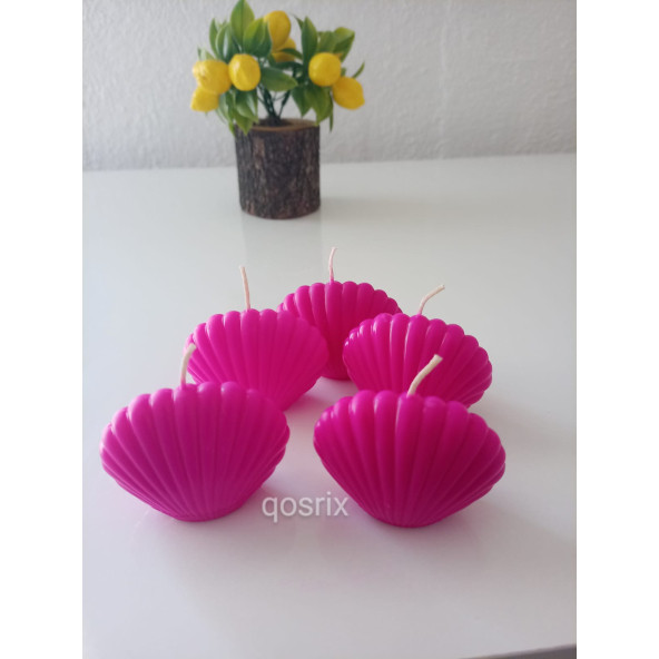 qosrix 5'li Pembe Fuşya Mini İstiridye Deniz Kabuğu 1. Kalite Doğal Kokulu Mum Dekoratif