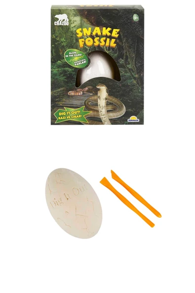 Heyecan Verici Bir Macera Sizi Bekliyor: Karanlıkta Parlayan Yılan Yumurtası Kazı Seti - 3