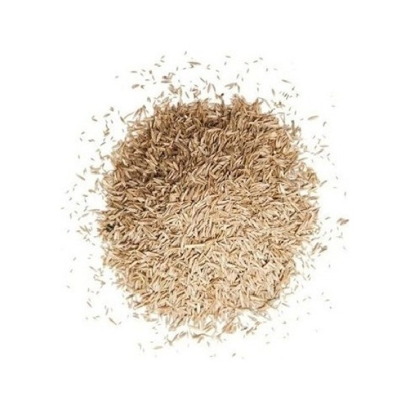 6'lı Karışım ithal Çim Tohumu - 10KG - 5