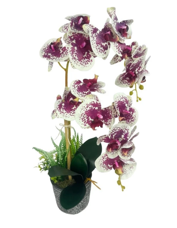 Nettenevime Yapay Çiçek 2li Benekli Fuşya Islak Orkide Seramik Saksıda Orkide 60cm - 3