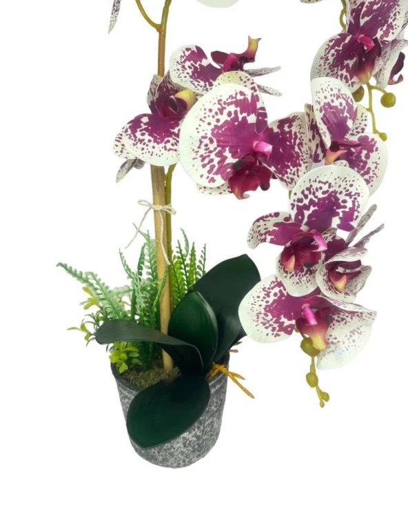 Nettenevime Yapay Çiçek 2li Benekli Fuşya Islak Orkide Seramik Saksıda Orkide 60cm - 4