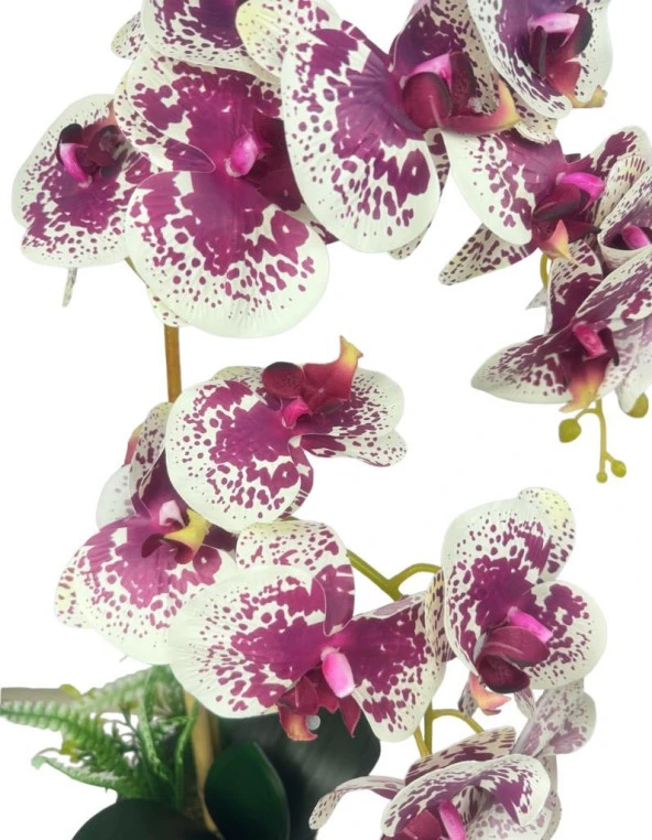 Nettenevime Yapay Çiçek 2li Benekli Fuşya Islak Orkide Seramik Saksıda Orkide 60cm - 5