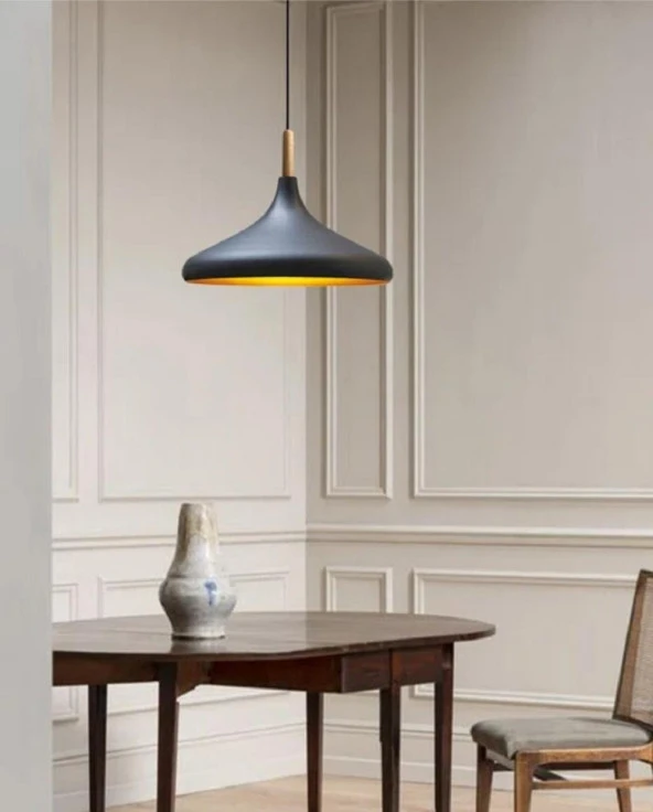 mylights tek fiyatıdır   metal siyah    sarkıt avize modern spor avize  35cm salon mutfak koridor cafe restorant yatak odası
