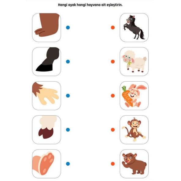 Okul Öncesi EŞLEŞTİRME Süper Kitap Seti (2 Kitap) - 4