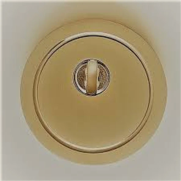 Sarı Çelik Kapı Ankastre Rozet (ince vida) - 6