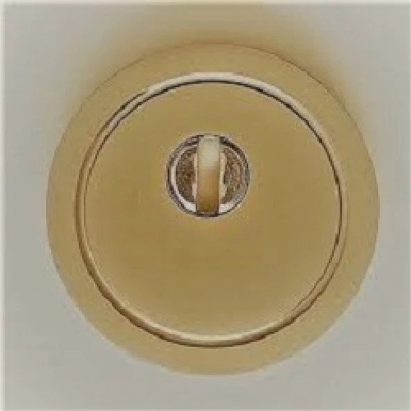 Sarı Çelik Kapı Ankastre Rozet (ince vida) - 9