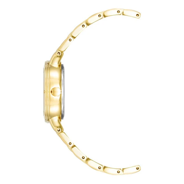 ANNE KLEIN AK-4014WTGB Kadın Kol Saati - Resim 3
