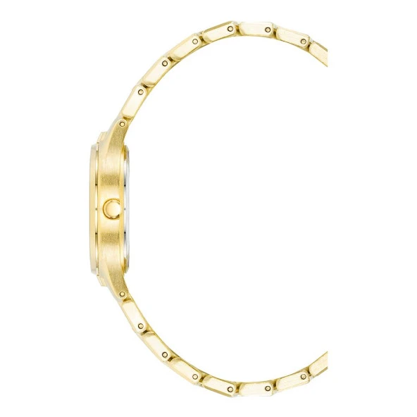ANNE KLEIN AK-4060CHGB Kadın Kol Saati - Resim 3