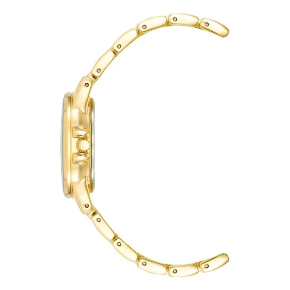 ANNE KLEIN AK-4132RQGB Kadın Kol Saati - Resim 3
