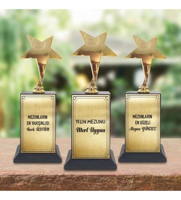 Kişiye Özel Mezuniyet Gold Yıldız Büyük Boy Oskar Ödülü HK2219 - Resim 6