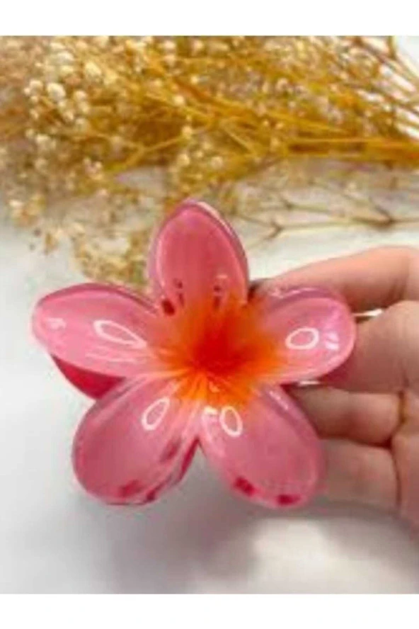 Lotus Toka Nar Çiçeği Pembe - 1