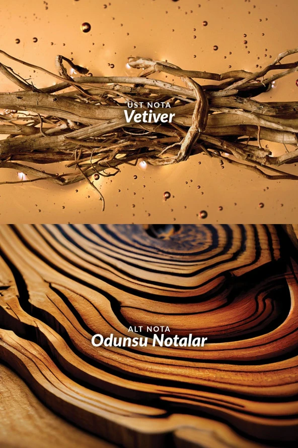 Segno Erkek Parfüm Edp 75 Ml. - 3