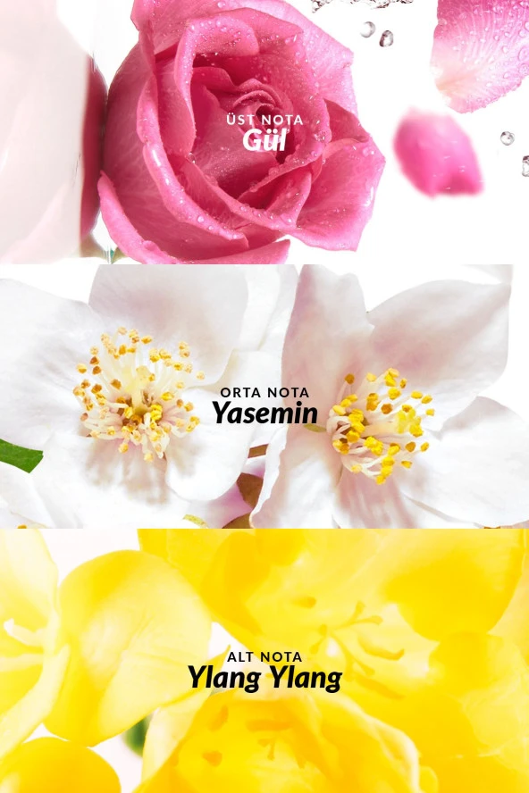 Soft Musk Kadın Parfüm Edt 50 Ml. - 3