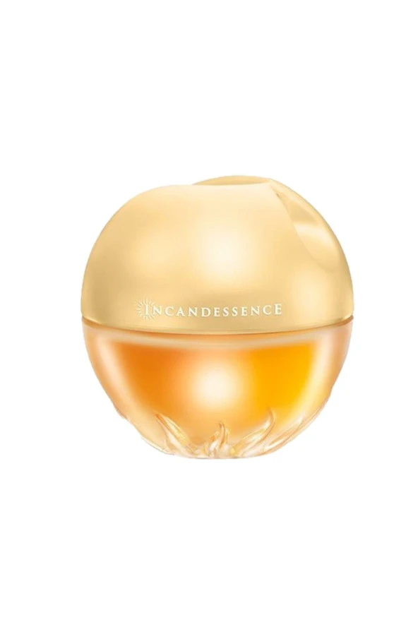 Little Black Dress Kadın Parfüm Edp 50 Ml-ıncandessence Kadın Parfüm Edp 50 Ml - 2