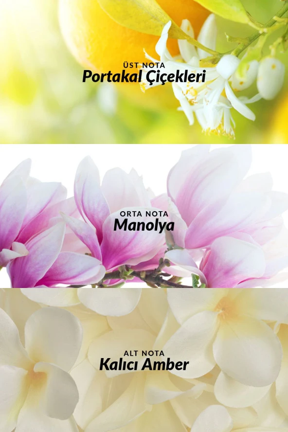 Tta The Moment Vücut Losyonu 125 Ml. - 3