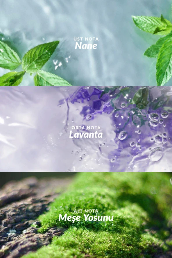 Musk Marine Erkek Rollon 50 Ml. - 3