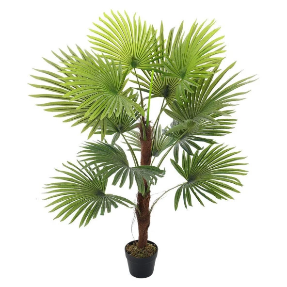 Nettenevime Yapay Ağaç Palmiye Ağacı 155cm Fanpalm Ağacı 12 Yaprak ürün görseli 1