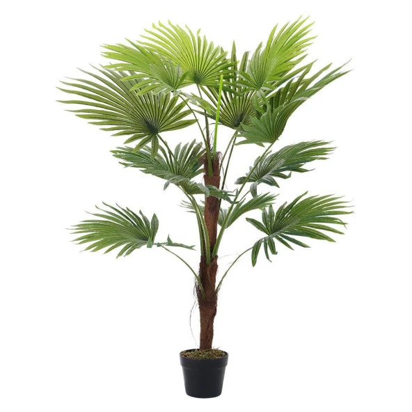 Nettenevime Yapay Ağaç Palmiye Ağacı 155cm Fanpalm Ağacı 12 Yaprak - Resim 3
