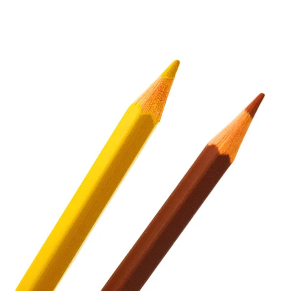 Gen-Of Kids Karton Kutu Tam Boy Kuru Boya 12 Renk 1 Adet - Resim 3