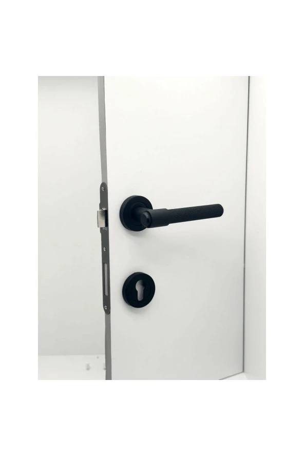 Punch Mat Siyah Rozetli Daire Giriş Kapı Kolu Sol Basar Tek Yön 1 Adet - Resim 3