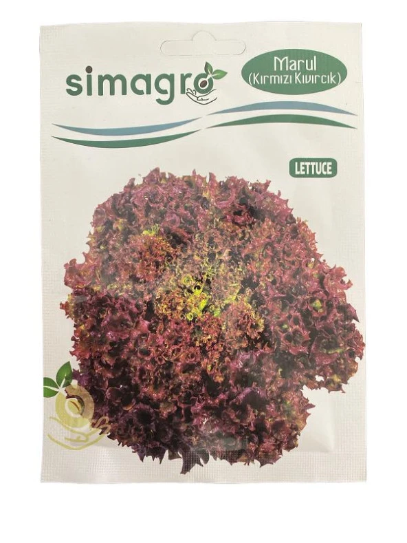 Simagro Marul Kırmızı Kıvırcık 5 gr