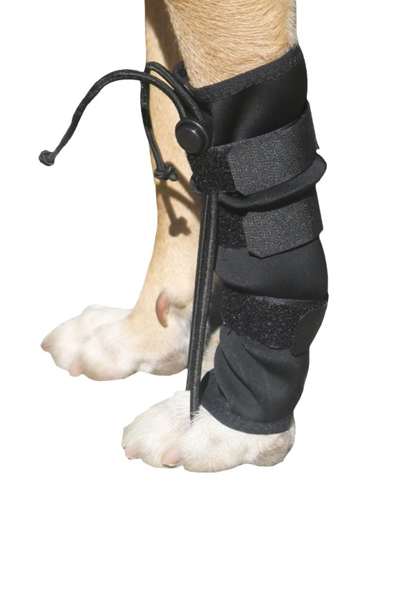 Köpek Ön Ayak Düzleştirici - XSmall