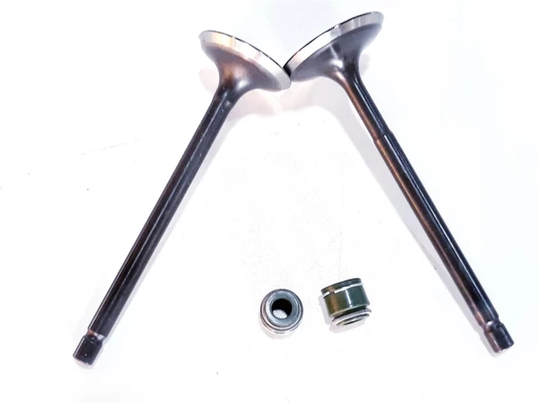 TVS RTR 180 SUBAP VE SUBAP KEÇESİ TAKIM ORJİNAL ürün görseli