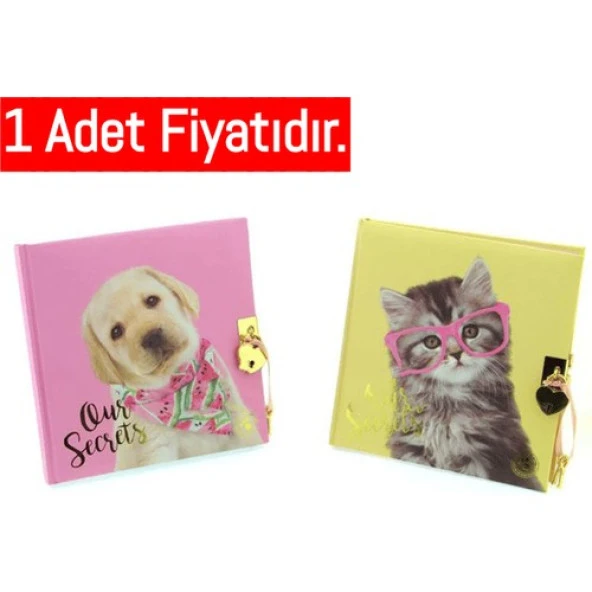 Dolphin Hatıra Defteri Studıo Pets Kilitli Pt-7790