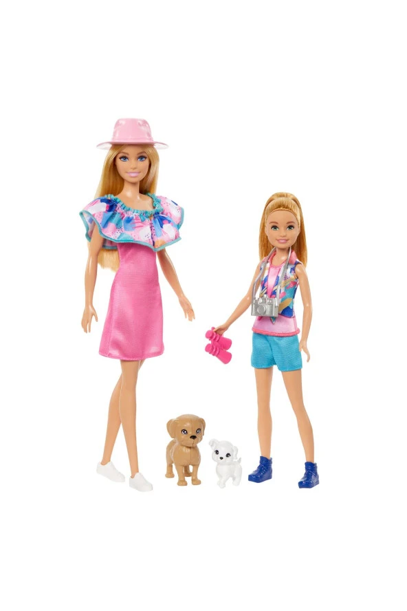 Barbie ve Stacie Kız Kardeşler İkili Set HRM09 ürün görseli