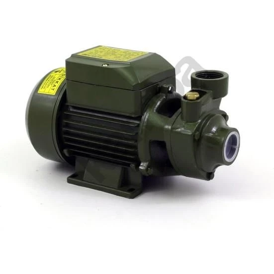 Style Qb60 0.5 Hp Elektrikli Su Dinamosu ürün görseli