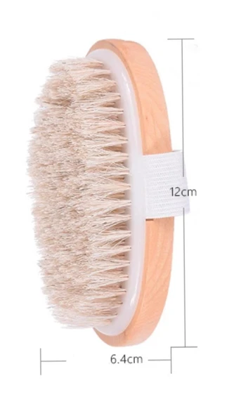 Parlak Ve Pürüzsüz Görünüm Sağlayan %100 Doğal At Kılı Selülit Fırçası (oval) - 3