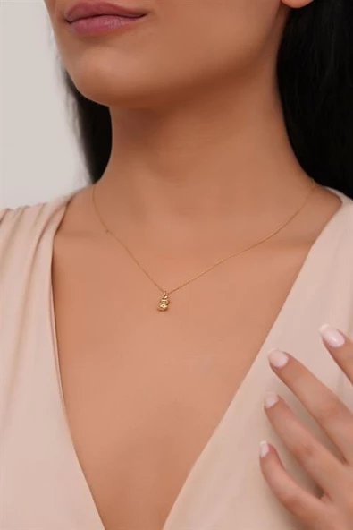 Altın Ayıcık Kolye ürün görseli 1