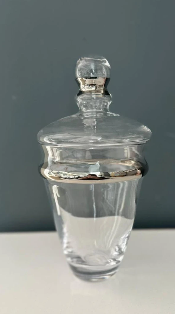DECORİUM CAM AYAKLI KAVANOZ DALIA PLATİN M06466-AB