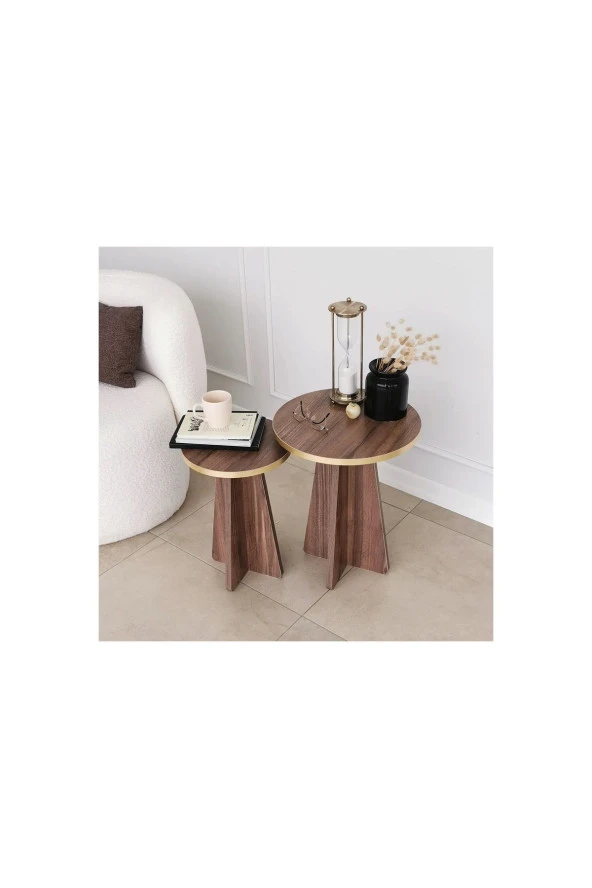 Nysamo 2 Li Zigon Sehpa Orta Sehpa Masa Salon Sehpası - 3