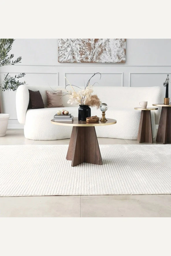 Nysamo Orta Sehpa Masa Salon Sehpası - 4