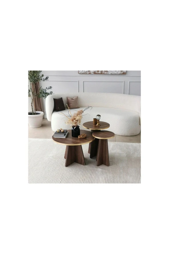 Nysamo 2 Li Zigon Sehpa Orta Sehpa Masa Salon Sehpası - 4