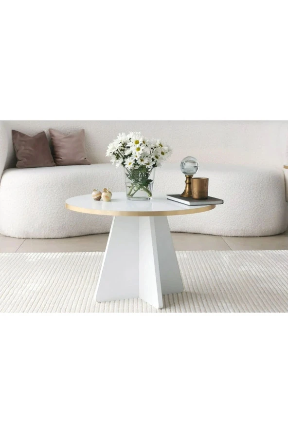 Nysamo Orta Sehpa Masa Salon Sehpası - 2