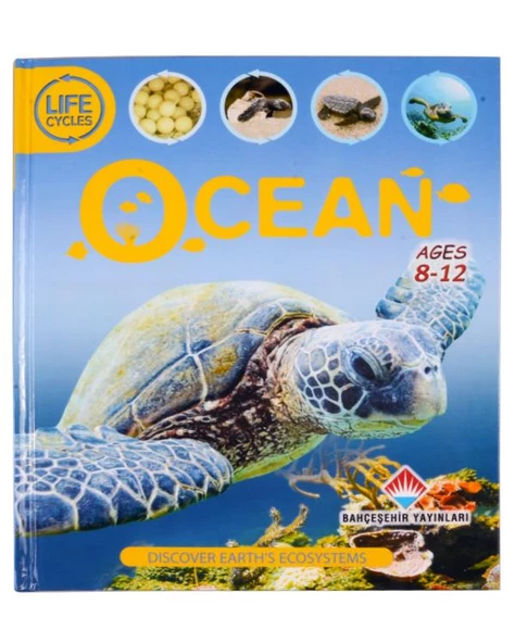 Life Cycles - Ocean Sean - Callery