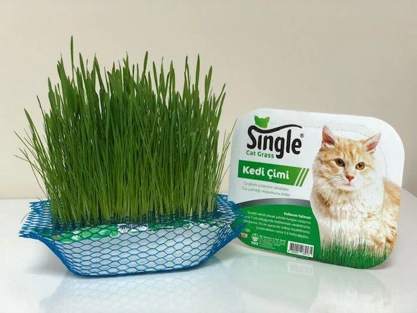 Single Natural Kedi Çimi ürün görseli