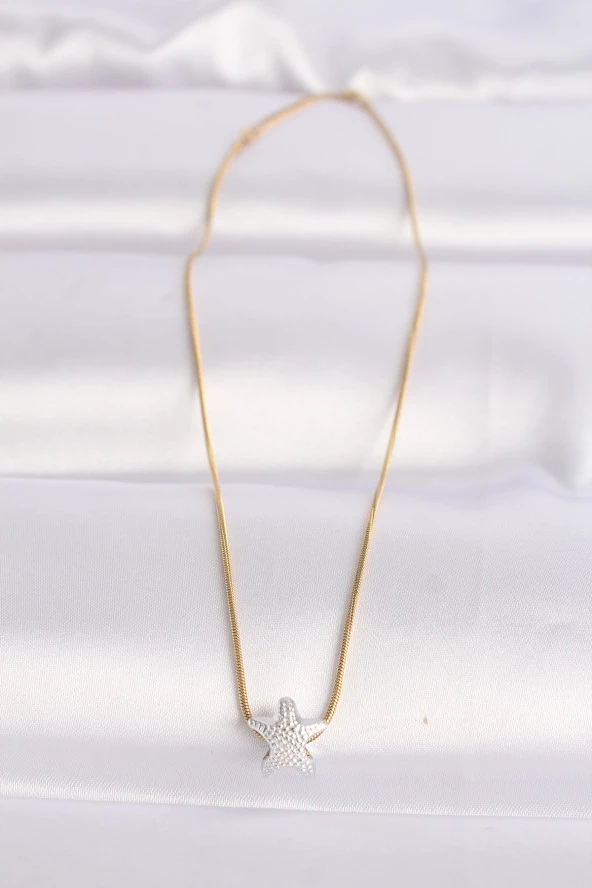 316L Çelik Zincir Altın Renk Zincirli Gümüş Renk Deniz Yıldızı Tasarımlı Kolye - EBJ240601W24583 - Resim 3