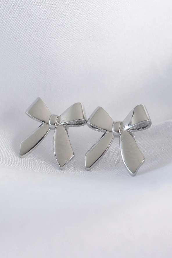 Pirinç Gümüş Renk Düz Plaka Fiyonk Küpe - EBJ240601W24548 ürün görseli