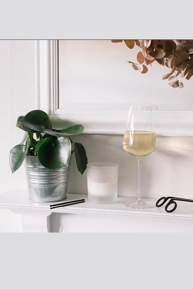 Paşabahçe Nude 2 Li Stem Zero Şampanya Kadehi 300 cc 32018 - Resim 3