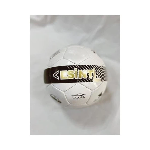 Vertex Futbol Topu Mini No:2