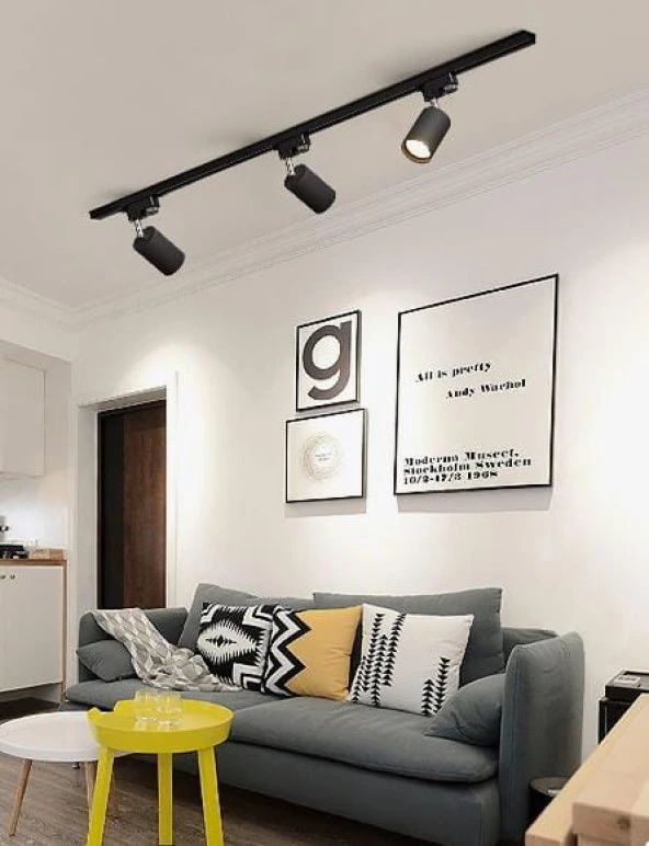 mylights  siyah küre led spot ray spot 1 mt ray  panasonıc gün ışığı ampulü