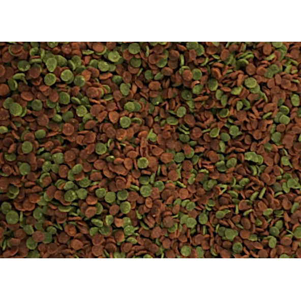 Amore Malawi Cichlid Mix Chips 3kg Kova Tanganyika Cichlid Spirulina Algae Karışık Akvaryum Balık Yemi - 2