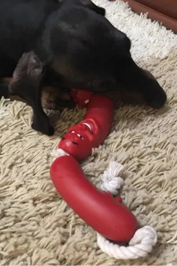 Köpekler İçin Oyuncak Sosis 4 Adet - 5