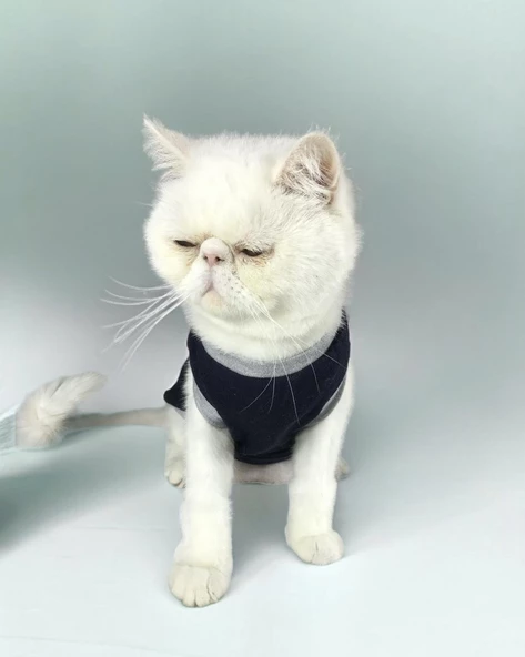 Navy Sports Atlet Kedi Kıyafeti Kedi Elbisesi - 4