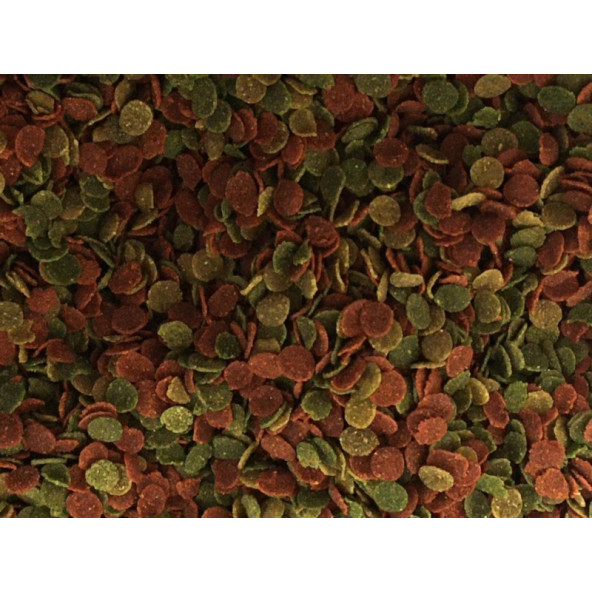 Lotus Protect Mix 2.4Kg Pro Chips 48-Protein Pre biyotik Kova Balık Yemi,Betta-Goldy-Tropical- 4x125ml - 3
