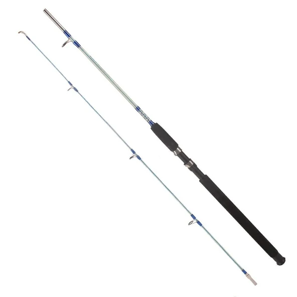 Michigan Competition 100-200g 2 Parçalı Dolgulu Tekne ve Bot Kamışı