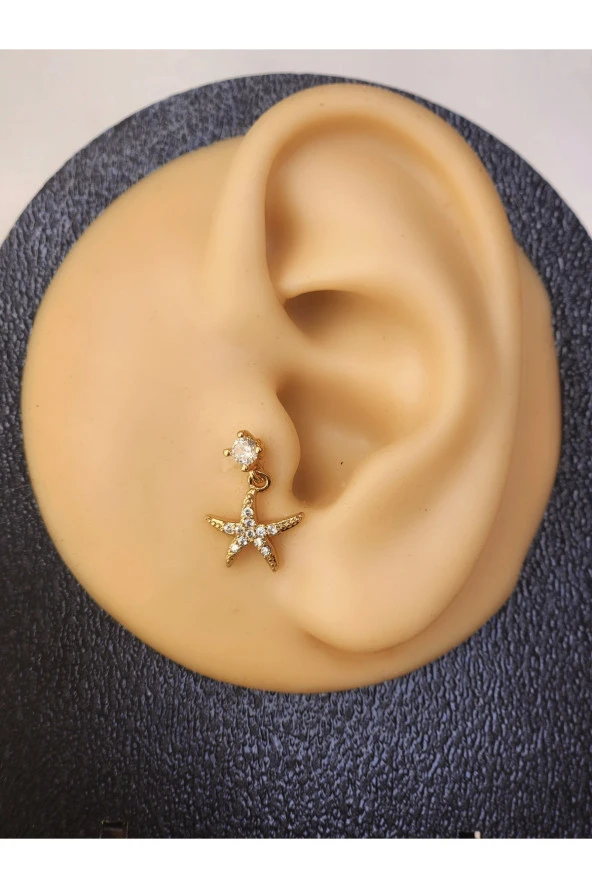 Deniz Yıldızı Gold ModelTragus Helix Piercing Ear Cuff Kıkırdak Çelik Küpe